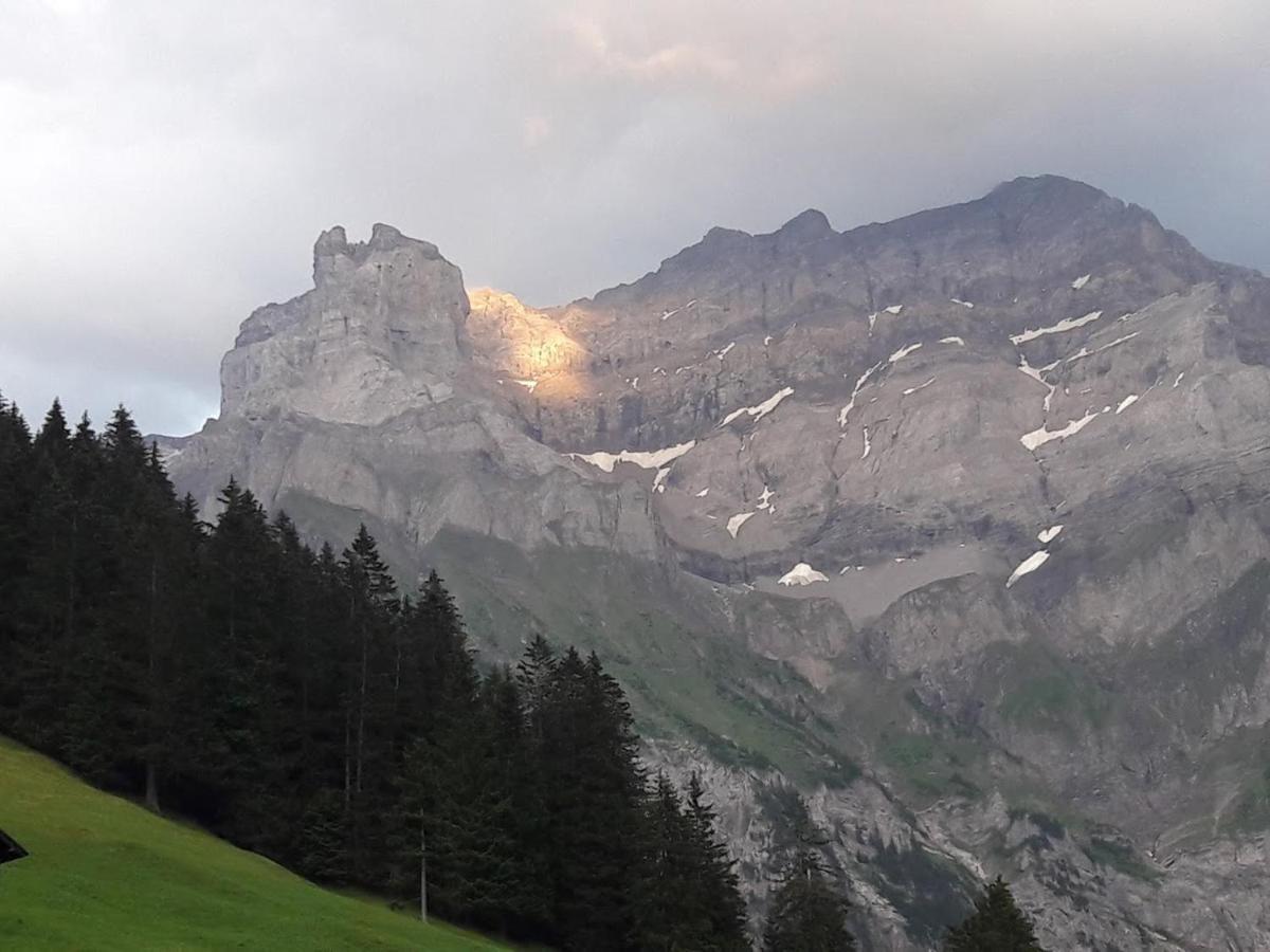 Bed and Breakfast Ferien In Der Bergwelt Von Adelboden Zewnętrze zdjęcie